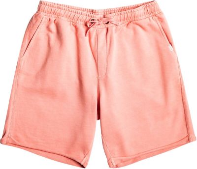 QUIKSILVER Herren Shorts TRIP AWAY M OTLR in braun