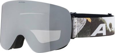 ALPINA Herren Brille PENKEN in grau