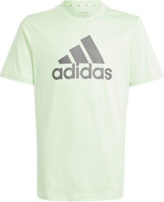 ADIDAS Kinder Shirt Essentials Big Logo Cotton in grau