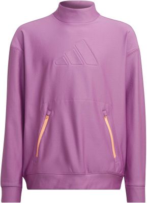 ADIDAS Kinder Sweatshirt G COLD.RDY SWT in grau