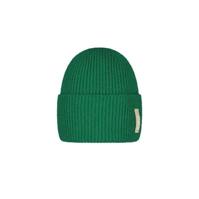 Fyrby Beanie in grün