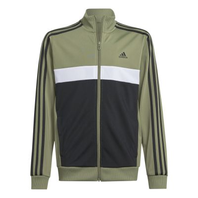 Unisex Essentials 3 Stripes Tiberio Tracksuit in grün