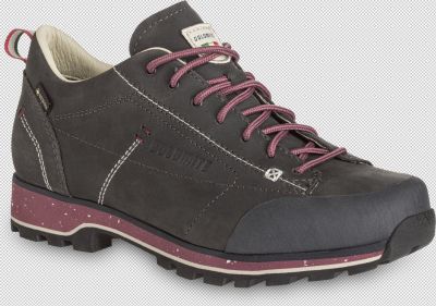 DOL Shoe W`s 54 Low Fg Evo GTX 0937 6,5 in grau