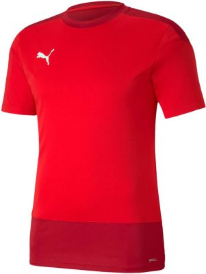 PUMA Herren Fantrikot teamGOAL 23 Training Jerse in rot