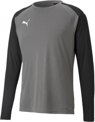 PUMA Herren Shirt teamPACER GK LS Jersey in grau