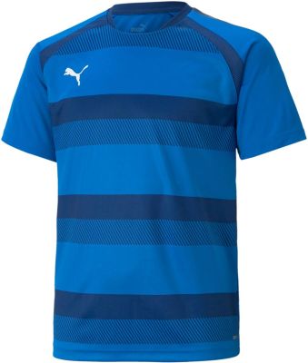 PUMA Kinder Shirt teamVISION Jersey Jr in blau