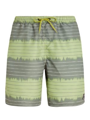 PRTAUCKLEY beachshort in grün