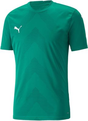 PUMA Herren Fantrikot teamGLORY Jersey in grün