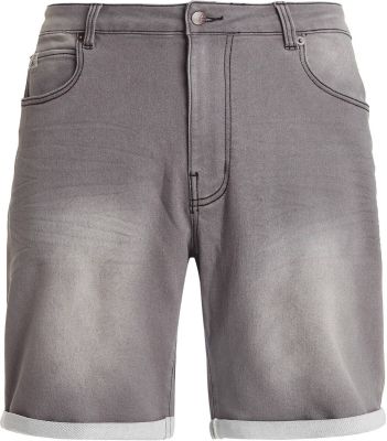 PROTEST Herren Shorts PRTTANOT shorts in grau