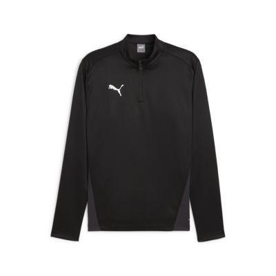 Herren Shirt teamGOAL Training 1/4 Zip in schwarz