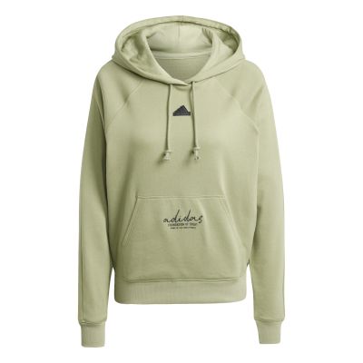 SIGNATURE GRAPHIC EMBROIDERY FRENCH TERRY LOOSE HOODIE in grün