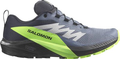 SALOMON Herren Trailrunningschuhe SHOES SENSE RIDE 5 GTX Flint/Black/Grgec in grau