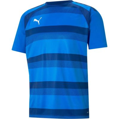 PUMA Herren Shirt teamVISION Jersey in blau