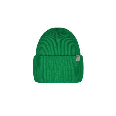 Haveno Beanie in grün