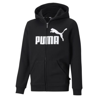 ESS Big Logo FZ Hoodie FL B in schwarz