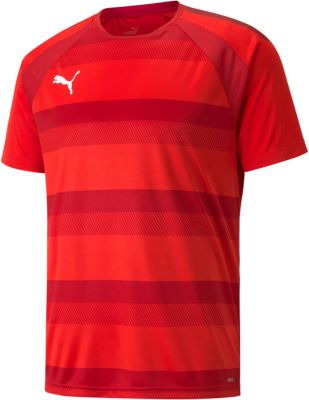 PUMA Herren Shirt teamVISION Jersey in rot