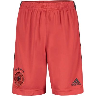 adidas Kinder DFB Torwart-Heimshorts in braun