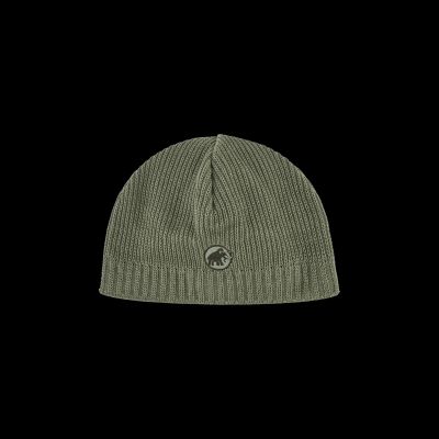 Sublime Beanie in 40285 marsh