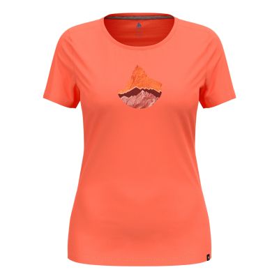 F-Dry T-Shirt mit Bergmotiv in orange