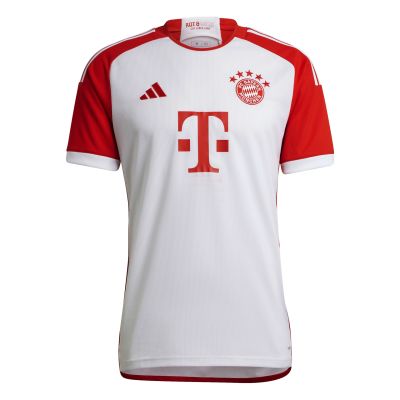 Herren Trikot FC Bayern M in grau