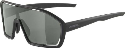 ALPINA Herren Brille BONFIRE Q-LITE in grau