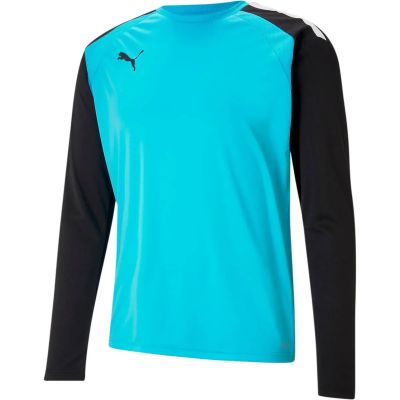 PUMA Herren Shirt teamPACER GK LS Jersey in blau