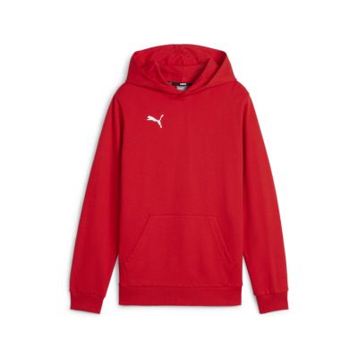 Kinder Pullover teamGOAL Casuals Hoody Jr in rot